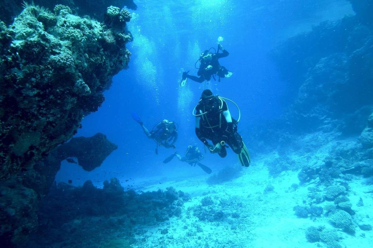 Snorkelling